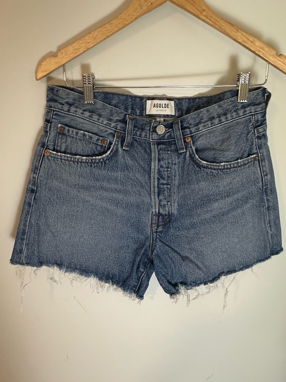 NWOT Agolde Parker shorts 27